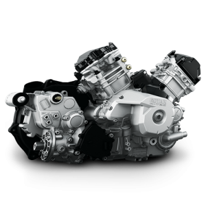 Canam Rotax 450-1000 r Motor